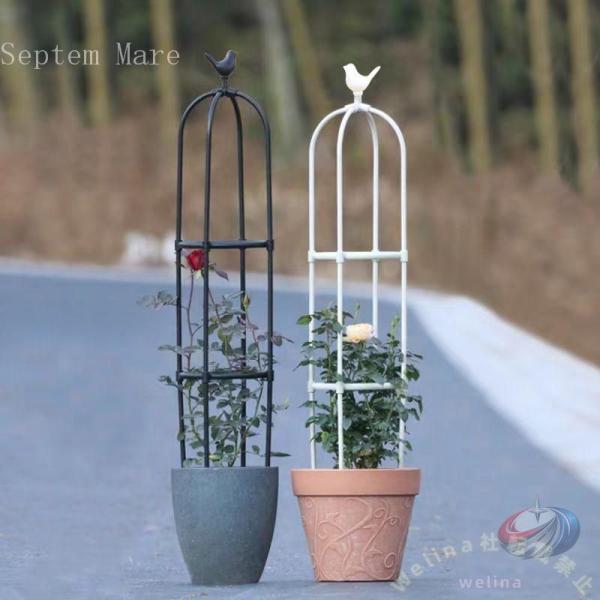 バラ用オベリスク 園芸支柱 ミニオベリスク ゾンチー 朝顔 薔薇 ミニトマト アイビー対応 家庭菜園...