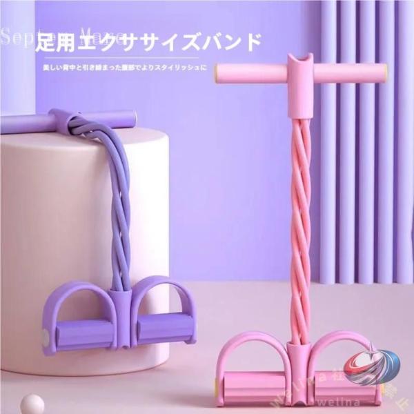 全身運動 健康器具 室内 トレーニング フィットネス ゾンチー 腹筋 背筋 腰まわりを鍛えやすく 男...