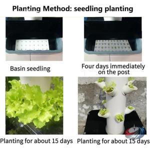 水耕タワーガーデン 水耕栽培システム 垂直プラ...の詳細画像3