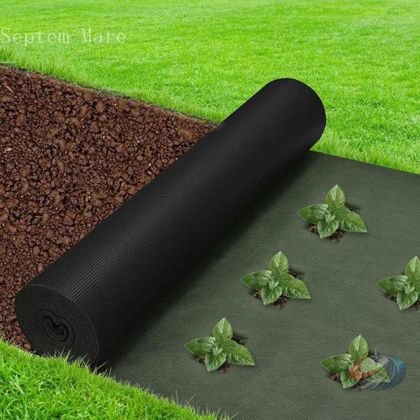 遮光ネット 農業 遮光率80％ 2×50m ゾンチー 遮熱や日よけに役立つ 黒の平織タイプで畑 ベラ...