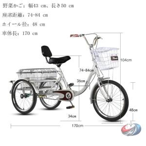 ポータブル 大人用三輪車 買い物かご付き 電動...の詳細画像5