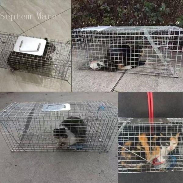 捕獲器 箱罠 イタチ 捕獲 踏み板式 猫 ネコ 畑 餌 アニマルキャッチャー アニマルトラップ 動物...