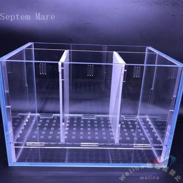 ベタ 水槽 ベタ飼育箱 プロの水槽 熱帯魚観賞魚 水族館 水槽を並べる 株式会社錦ショーベタ 魚飼育