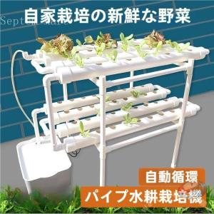 水耕栽培キット 野菜 栽培キット すいこう栽培キット 室内 いちご 家庭菜園 水耕栽培セット プランター 72穴 発芽育苗セット