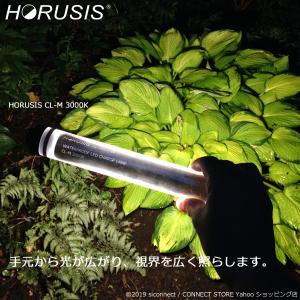 HORUSIS CL-M 5500K / 30...の詳細画像5
