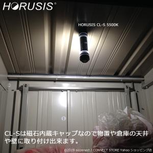 HORUSIS CL-S 5500K / 30...の詳細画像5