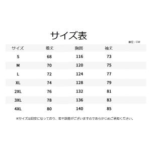 マウンテンパーカ ウインドブレーカー マウンテ...の詳細画像1
