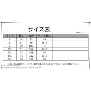 ジャージ メンズ 上下 トレーニングウェア 上...の詳細画像1