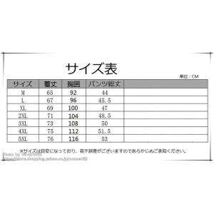 ジャージ メンズ 上下 トレーニングウェア 上...の詳細画像1