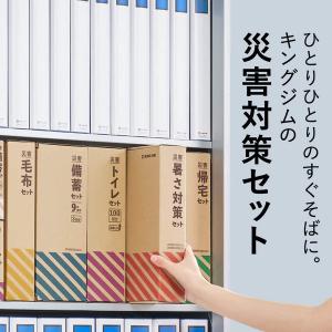 キングジム 防災 災害暑さ対策セット 冷却 保...の詳細画像1