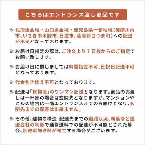 シンプルデスク Visage Neo ビサージ...の詳細画像2