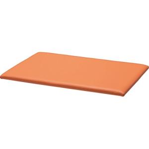メーカー直送 オモイオ omoioキッズコーナー用品 キッズスクエアー ウレタンマットC AK-08-L6301 