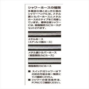 エコアクアシャワーSPA U スイッチ付(めっ...の詳細画像1