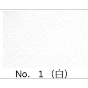 メーカー直送 富士川建材工業 内装材 SSコート No.1（白）  [FUJIKAWA-00011565] 建築用仕上げ塗料｜conpaneya