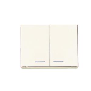 流し台 公団型・N型・C型 奥行550 Nタイプ 全槽 小型ゴミ収納器付 [N55