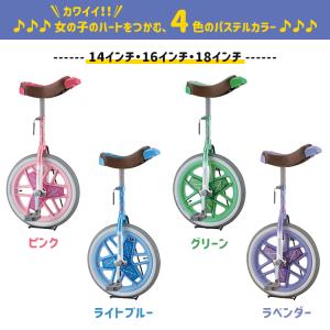 【セット割商品 一輪車スケアクロウ1台+プロテ...の詳細画像2
