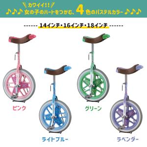 【セット商品 一輪車+ラッピング特大袋 SCW...の詳細画像2