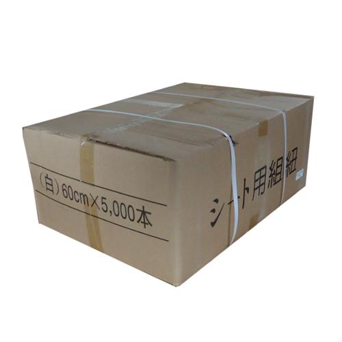 シート用組紐　白　60cm　5000本　シートひも　とじひも