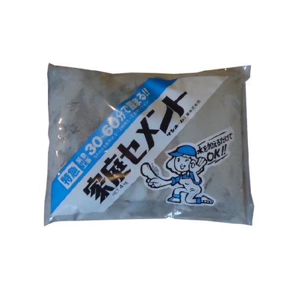 特急家庭セメント灰（青ラインＣＴＧ４）　４Ｋｇ　サンホーム　速乾セメントタイプ