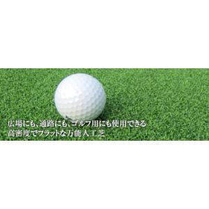 クローバーターフ　カールタイプ　13mm×1m×10m【代引き不可】【送料無料】【※北海道、沖縄、離...