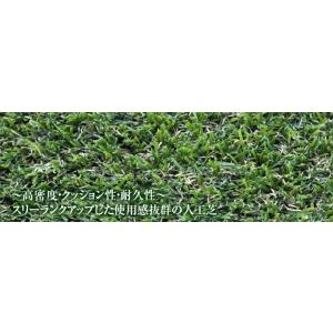 クローバーターフ　プレミアムタイプ　35mm×1m×10m【代引き不可】【送料無料】【※北海道、沖縄...