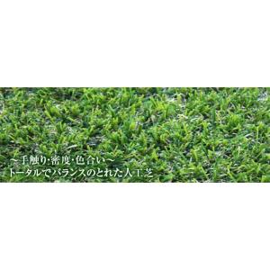 人工芝 芝丈30mm レギュラー 1m × 10m リアル ロール 庭 Clover Turf