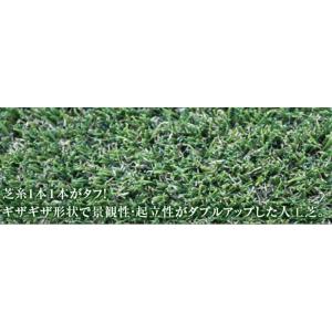 クローバーターフ　Wタイプ　30mm×1m×10m【代引き不可】【送料無料】【※北海道、沖縄、離島除...