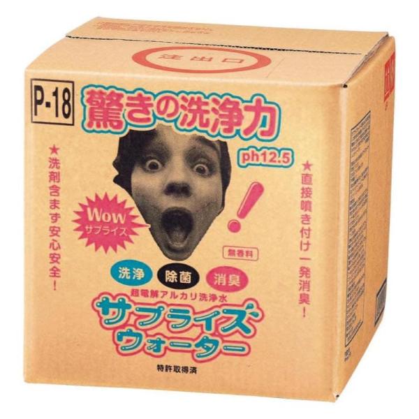 ジョイフル　サプライズウォーター　10L　超電解アルカリ洗浄・除菌剤 P-18