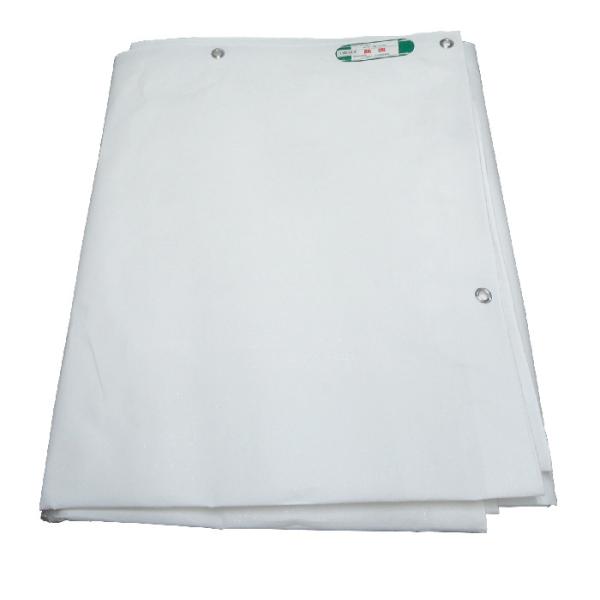 PE 防炎シート　白  1.82ｘ3.4ｍ　防炎２類　1間×2間　ハトメ30cmピッチ　萩原工業 ホ...