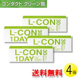 エルコンワンデー 30枚入×4箱 / 送料無料｜contact-clean