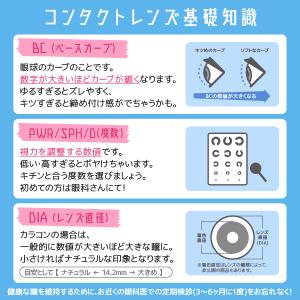 アイコフレワンデーUVモイストトーリック 10...の詳細画像3