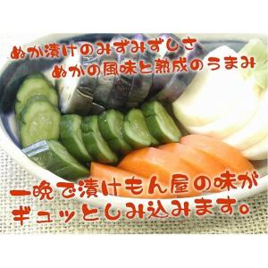 送料無料 樽の味 熟成ぬか床スタンドパックの詳細画像2