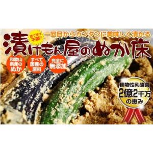 送料無料 樽の味 熟成ぬか床スタンドパックの詳細画像3