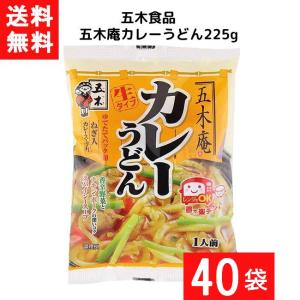 送料無料 五木食品 五木庵カレーうどん 225g 40袋 袋麺 レトルト インスタント 食材 和食材 カレー うどん 即席めん 五木食品 九州 熊本｜ひかりコンタクト
