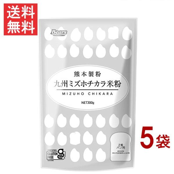 九州ミズホチカラ米粉 300g×5袋 グルテンフリー 熊本製粉 九州産 ミズホチカラ100% 送料無...