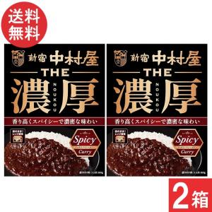 THE濃厚 リッチスパイシーカリー ( 160g )/ 新宿中村屋 レトルト