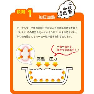 テーブルマーク 魚沼産こしひかり(分割) 4食×2袋の詳細画像2
