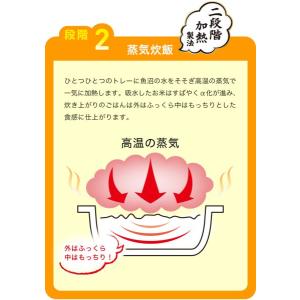 テーブルマーク 魚沼産こしひかり(分割) 4食×2袋の詳細画像3