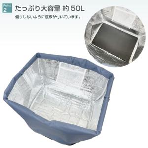 保冷保温バッグ ラクかGOトート RAKUKA...の詳細画像2