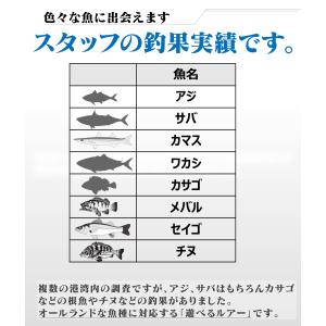 メタルバイブ セット マイクロ アジング メバ...の詳細画像3