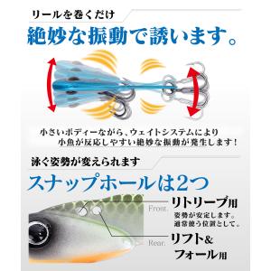 メタルバイブ セット マイクロ アジング メバ...の詳細画像4