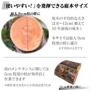 剪定のこぎり 【交換や使いわけに便利な 2本入...の詳細画像2