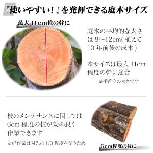 剪定のこぎり 【交換や使いわけに便利な 2本入...の詳細画像4