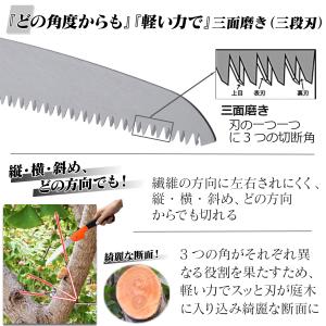 剪定のこぎり 【交換や使いわけに便利な 2本入...の詳細画像5
