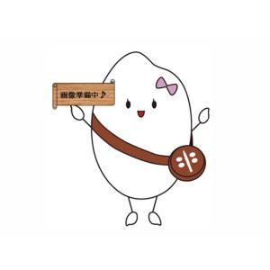 小麦粉　強力粉　ブリザードイノーバ 25kg 製菓材料　
