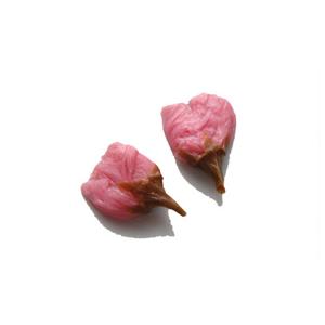 冷凍桜の花 500花×10袋　さくら　和菓子　洋菓子　製菓材料　【冷凍便】