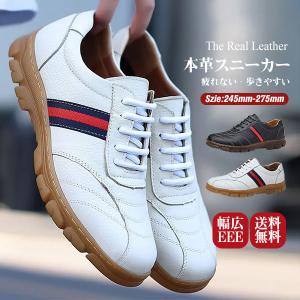 Supreme シュプリーム ×Dr. Martens Ramsey Creeper ドクターマーチン