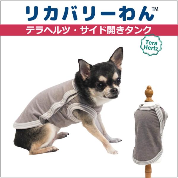 【追加生産中/3月下旬から4月上旬入荷予定】犬リカバリーウェア 着脱カンタン! 【テラヘルツ・サイド...