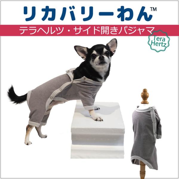 【追加生産中/3月下旬から4月上旬入荷予定】犬リカバリーウェア 着脱カンタン! 【テラヘルツ・サイド...