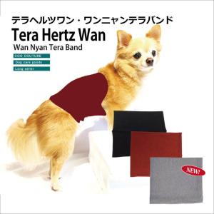 【1/10再入荷】犬介護用品 犬腹巻き めちゃ売れ♪ 【テラヘルツワン・ワンニャンテラバンド】(犬腹巻き) 5014[日本製] 小型犬 中型犬 ネコポス便OK 大人気商品